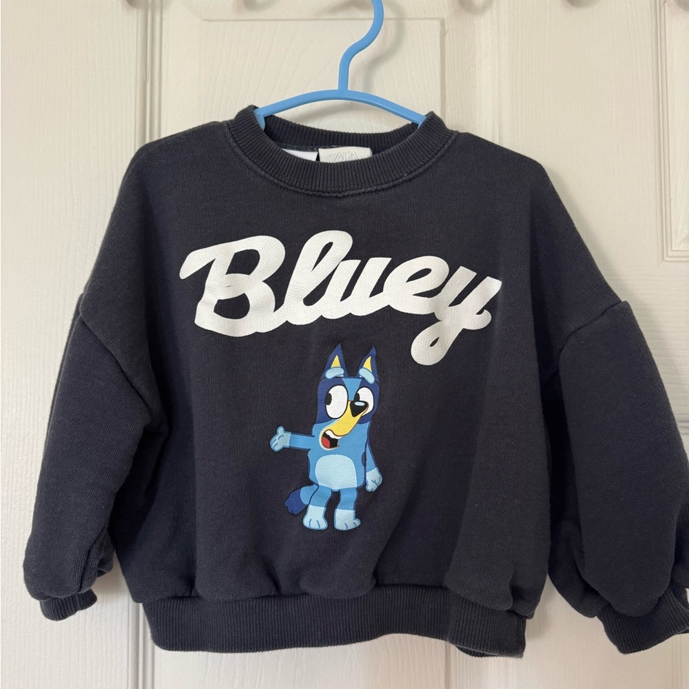 Zara Toddler Bluey Crew Neck 2T